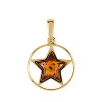 Pendentif en argent et Ambre baltique