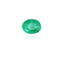  Emeraude de Zambie 0,284 ct (gemme et boîte de collection)