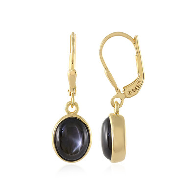 Boucles d'oreilles en argent et Saphir étoilé noir
