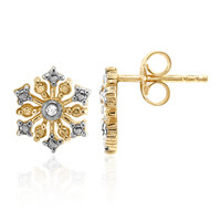 Boucles d'oreilles en argent et Diamant I2 (I)
