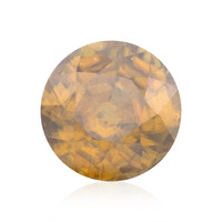  Sphène 2,33 ct (gemme et boîte de collection)