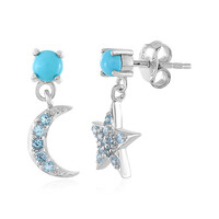 Boucles d'oreilles en argent et Turquoise