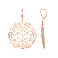 Boucles d'oreilles en argent (SAELOCANA)