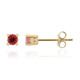 Boucles d'oreilles en or et Rubellite