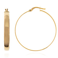 Boucles d'oreilles en or