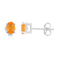 Boucles d'oreilles en argent et Cornaline