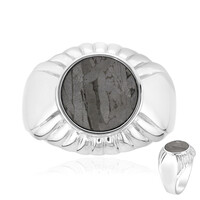Bague en argent et Météorite d'Alétaï