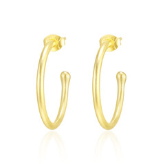 Boucles d'oreilles en argent (Maigold Kreativ)