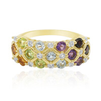 Bague en argent et Grenat