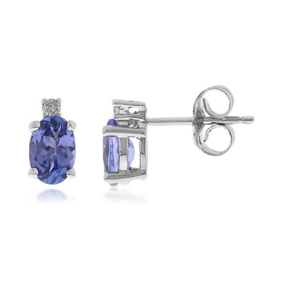 Boucles d'oreilles en or et Tanzanite