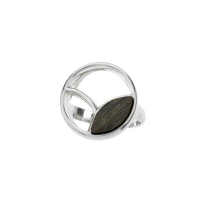 Bague en argent et Chêne des marais (dagen)