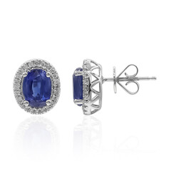 Boucles d'oreilles en or et Kyanite (CIRARI)