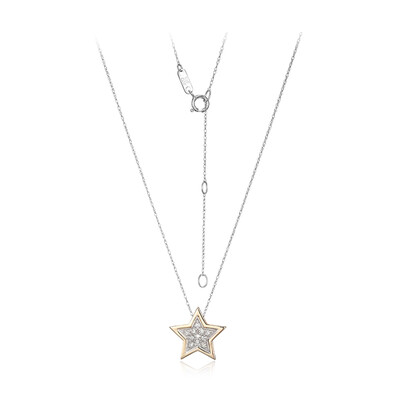 Collier en or et Diamant I1 couleur (I)