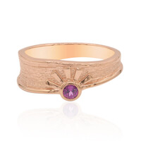 Bague en argent et Grenat Rhodolite