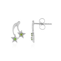 Boucles d'oreilles en argent et Diopside de Russie