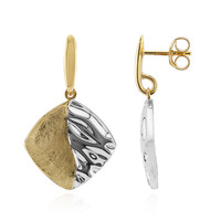 Boucles d'oreilles en argent