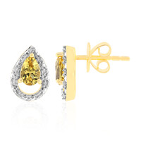 Boucles d'oreilles en or et Béryl doré d‘Australie