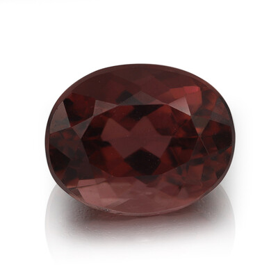 Gemme et Rubellite 2,98 ct