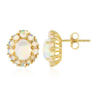 Boucles d'oreilles en argent et Opale Welo