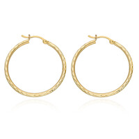 Boucles d'oreilles en or