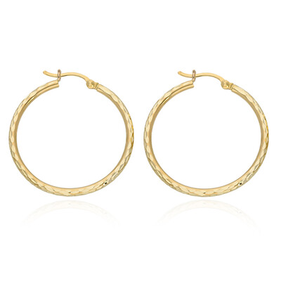 Boucles d'oreilles en or
