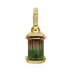 Pendentif en or et Tourmaline multicolore