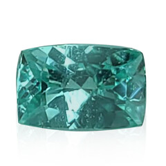  Tourmaline Paraïba (gemme et boîte de collection)