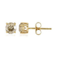 Boucles d'oreilles en or et Diamant chocolat I1