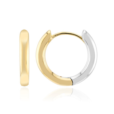 Boucles d'oreilles en argent