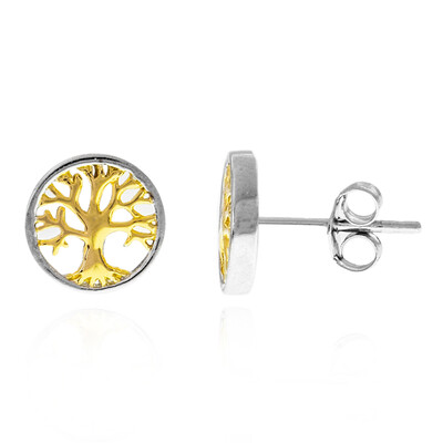 Boucles d'oreilles en argent