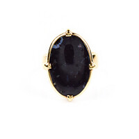 Bague en argent et Bois de palmier fossilisé