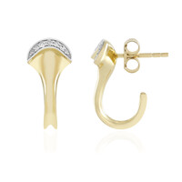 Boucles d'oreilles en or et Diamant I2 (H)