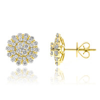 Boucles d'oreilles en or et Diamant I1 (H) (CIRARI)