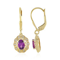 Boucles d'oreilles en argent et Grenat Umbalite