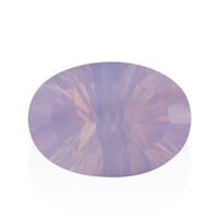  Quartz Fleur de Lys (gemme et boîte de collection)