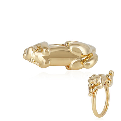 Bague en argent
