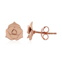 Boucles d'oreilles en argent