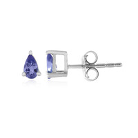 Boucles d'oreilles en or et Tanzanite