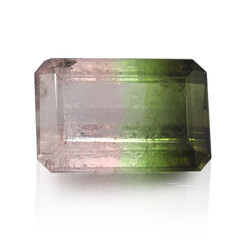  Tourmaline multicolore (gemme et boîte de collection)