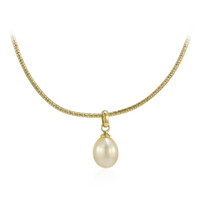 Collier en argent et Perle dorée des mers du Sud Kabira (TPC)