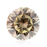  Diamant VS1 jaune (gemme et boîte de collection)