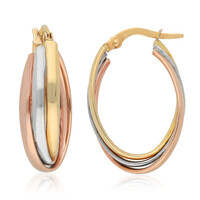 Boucles d'oreilles en or