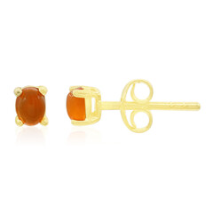 Boucles d'oreilles en argent et Cornaline