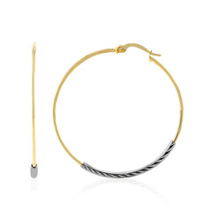 Boucles d'oreilles en argent