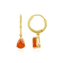 Boucles d'oreilles en argent et Cornaline