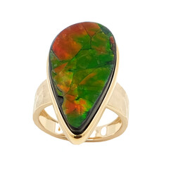Bague en or et Ammolite (de Melo)