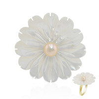 Bague en argent et Nacre (TPC)