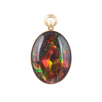 Pendentif en or et Ammolite
