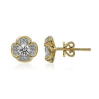 Boucles d'oreilles en or et Diamant SI1 (G)