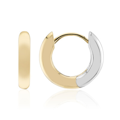 Boucles d'oreilles en argent